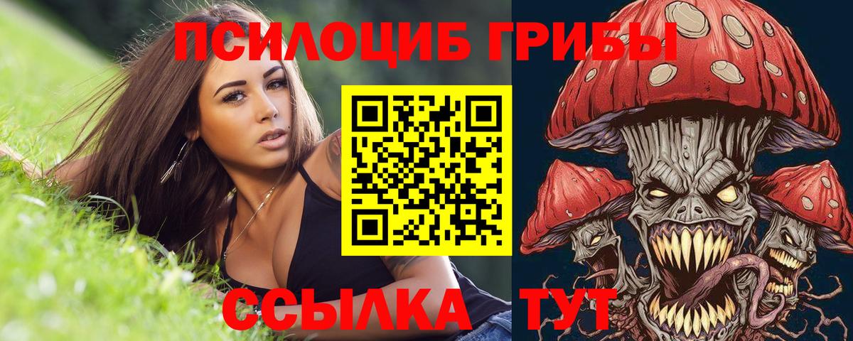 Михайловск  Псилоцибиновые грибы MAGIC MUSHROOMS  Вход с VPN 